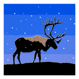 Karibik im Winter - Original Wildlife Art Poster
