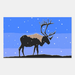 Karibik im Winter - Original Wildlife Art Rechteckiger Aufkleber