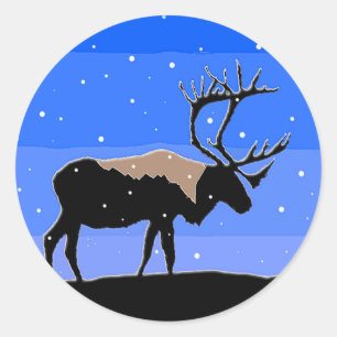 Karibik im Winter - Original Wildlife Art Runder Aufkleber