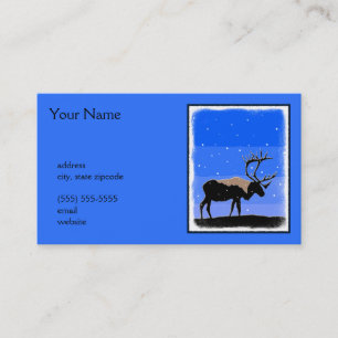 Karibik im Winter - Original Wildlife Art Visitenkarte