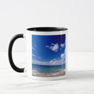 Karibik, Kleine Antillen, Westindische Inseln, Tasse