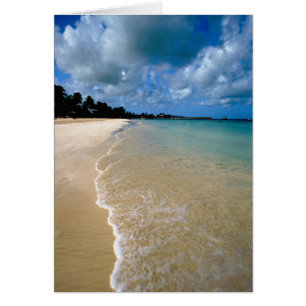 Karibik, Leeward Islands, Antigua, Dickenson