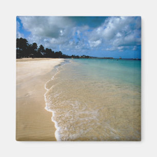 Karibik, Leeward Islands, Antigua, Dickenson Magnet