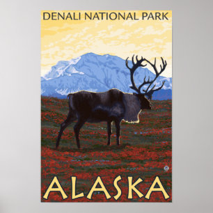 Karibik - Nationalpark Denali, Alaska Poster