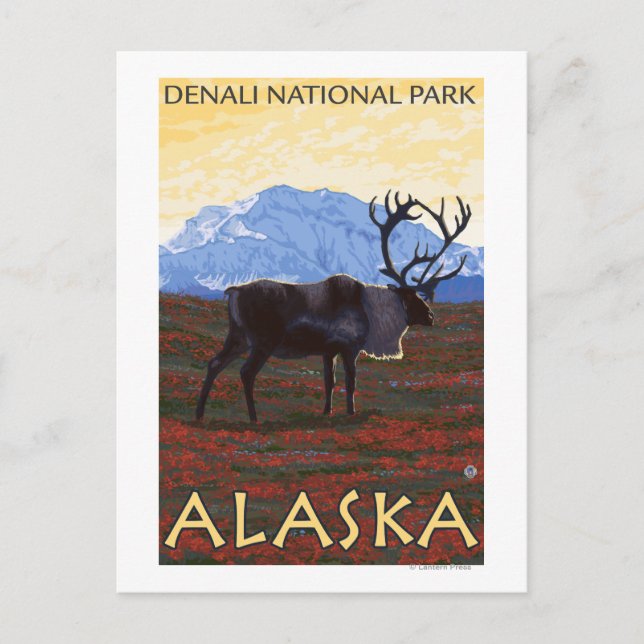 Karibik - Nationalpark Denali, Alaska Postkarte (Vorderseite)