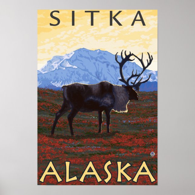 Karibik - Sitka, Alaska Poster (Vorne)
