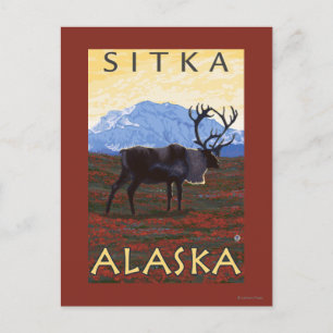 Karibik - Sitka, Alaska Postkarte