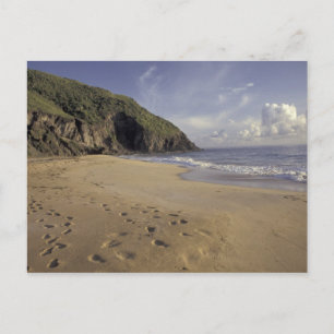 Karibik, St. Kitts. Footprints auf dem Atlantik Postkarte