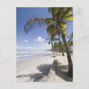 Karibik - Trinidad - Manzanilla Beach on Postkarte