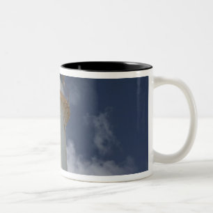 Karibik, TURKS & CAICOS, Grand Turk Island, 2 Zweifarbige Tasse