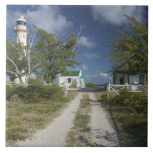 Karibik, TURKS- UND CAICOSINSELN, Grand Turk Islan Fliese