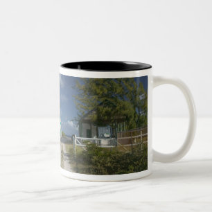 Karibik, TURKS- UND CAICOSINSELN, Grand Turk Islan Zweifarbige Tasse