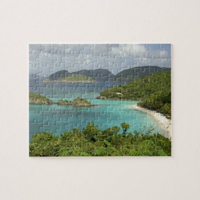 Karibik, U.S. Jungfrau Islands, St. John, Trunk (Horizontal)