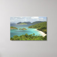 Karibik, U.S. Jungfrau Islands, St. John, Trunk