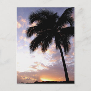 Karibik, U.S. Jungfrau Islands, St.Thomas, 3 Postkarte