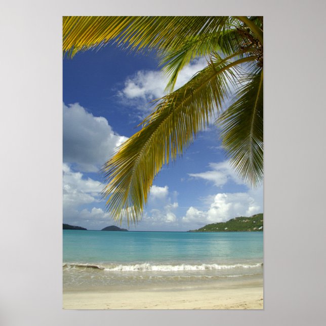 Karibik, U.S. Jungfrau Islands, St.Thomas, Poster (Vorne)