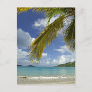 Karibik, U.S. Jungfrau Islands, St.Thomas, Postkarte
