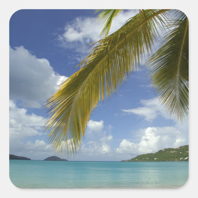 Karibik, U.S. Jungfrau Islands, St.Thomas, Quadratischer Aufkleber (Vorderseite)