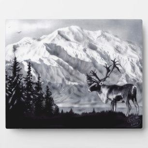 Karibik und Gebirge Plaque Fotoplatte