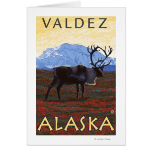Karibik - Valdez, Alaska