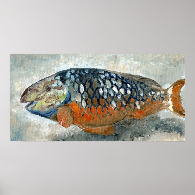 Karibischer Fisch Orange und Blau Poster (Vorne)