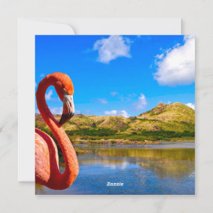 Karibischer Flamingo in St. Kitts Feiertagskarte