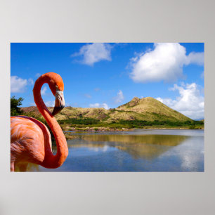 Karibischer Flamingo in St. Kitts Puzzle Poster