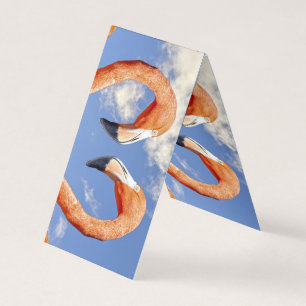 Karibisches Flamingo-Liebe