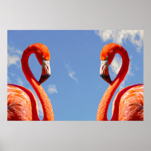 Karibisches Flamingo-Paar Poster