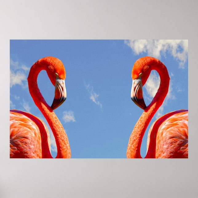Karibisches Flamingo-Paar Poster (Vorne)