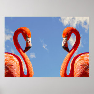Karibisches Flamingo-Paar Poster