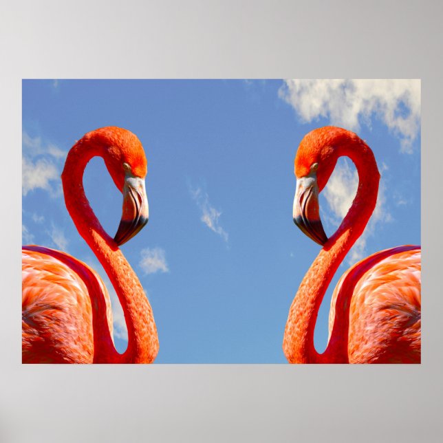 Karibisches Flamingo-Paar Poster (Vorne)