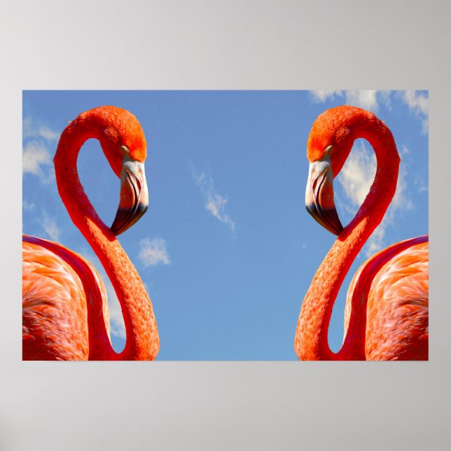 Karibisches Flamingo-Paar Poster (Vorne)