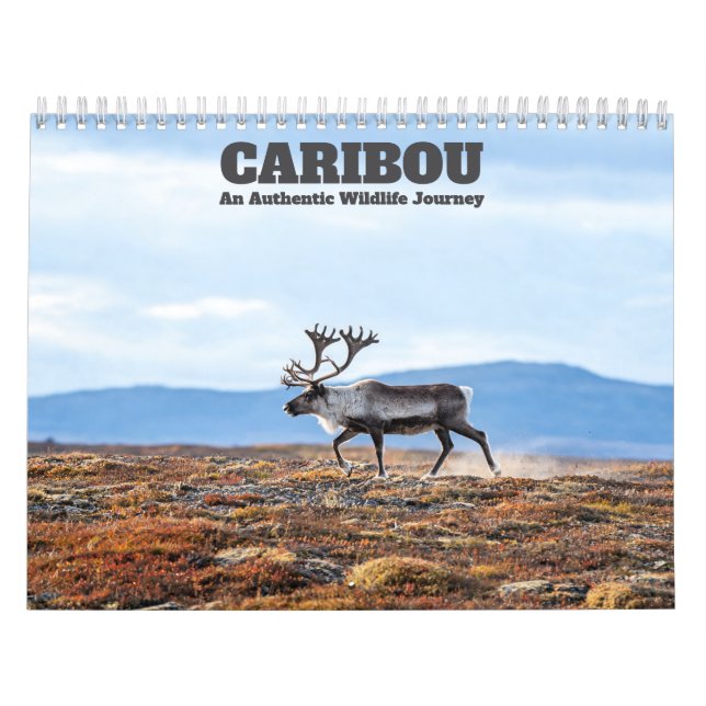 Karibu 2027 Wandkalender (Titelbild)