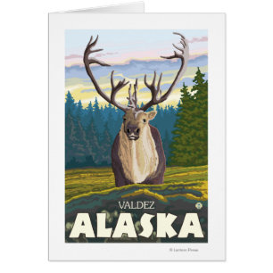 Karibu im wilden - Valdez, Alaska