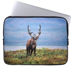 Karibu oder Rentier Denali-Nationalpark, Alaska Laptopschutzhülle