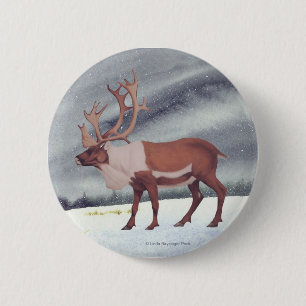 Karibu-Ren-Schnee Button