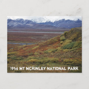 Karibu-Tundra wird rot MT McKinley National PK Postkarte