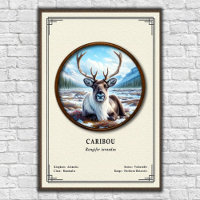 Karibu-Zoologie-Serie