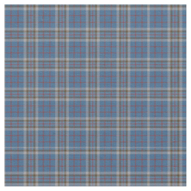 Kariert Clan Thompson Tartan Gray Blue Karo Stoff (Nahaufnahme)