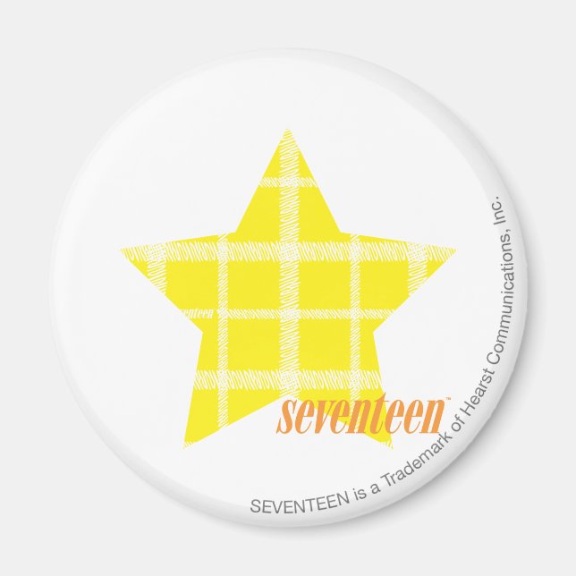 Kariert Gelb 4 Magnet (Vorne)