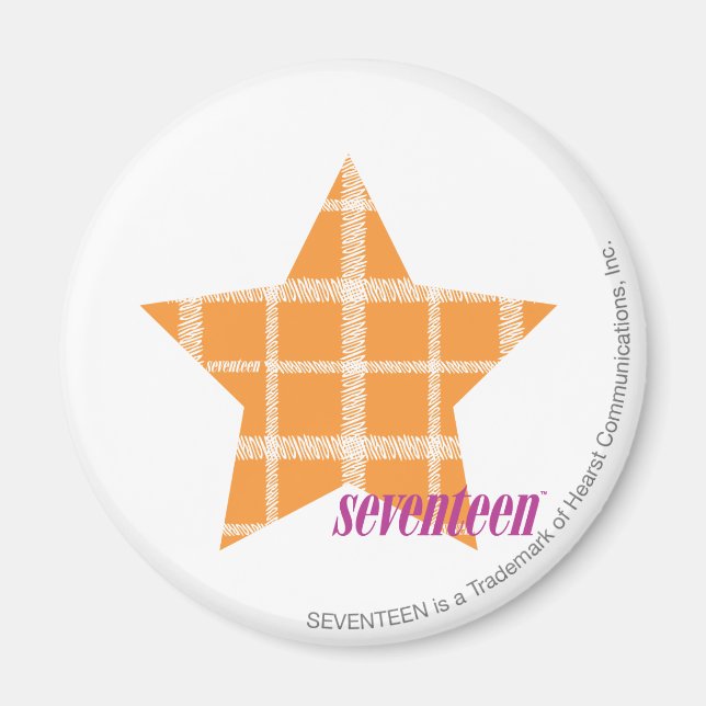 Kariert Orange 2 Magnet (Vorne)