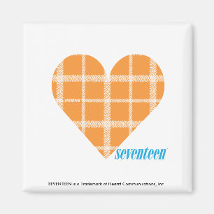 Kariert Orange 4 Magnet