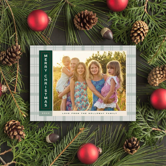 Karierte Seitenleiste Feiertagskarte (Sage Green Plaid Sidebar Photo Holiday Card)