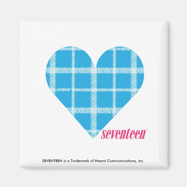 Kariertes Aqua 2 Magnet (Vorne)