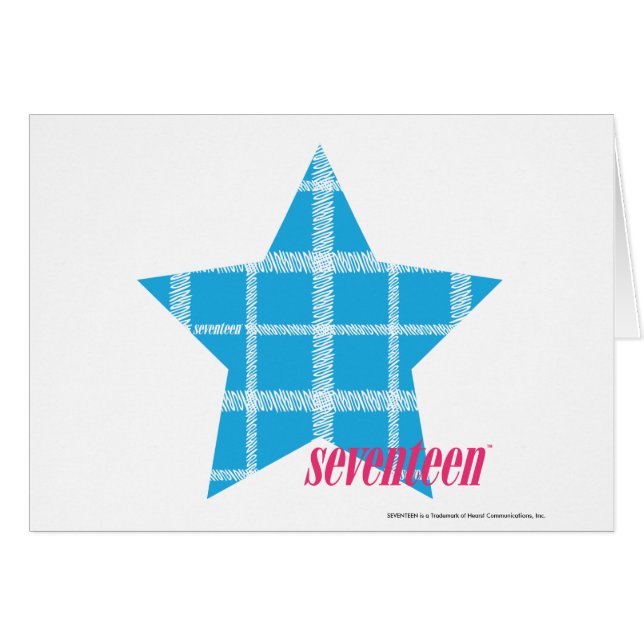 Kariertes Aqua 3 (Vorderseite (Horizontal))