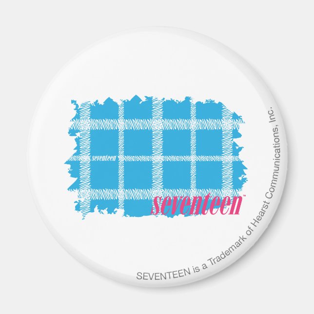 Kariertes Aqua 4 Magnet (Vorne)