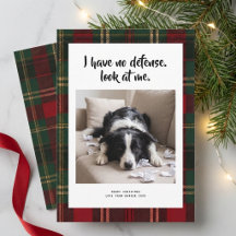 Kariertes lustiges süßes Hunde-Foto Weihnachts-Fei