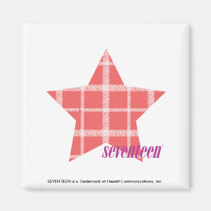 Kariertes Rosa 3 Magnet