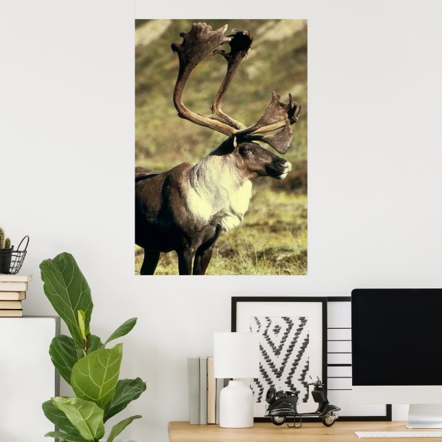 Kariou/Reindeer Wildlife Lover Poster (Heimbüro)